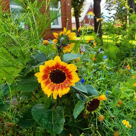 Kettler By Interhome *